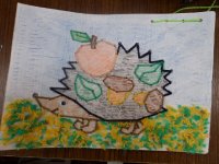 SAM_4772