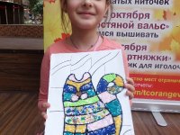SAM_4641